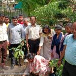 चमन लाल महाविद्यालय में विश्व पर्यावरण दिवस पर पौधारोपण किया गया
