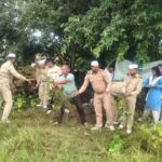 वननेस वन-प्रकृति के साथ समरसता  हरित भविष्य की ओर संत निरंकारी मिशन का जन आंदोलन
