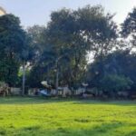 86 लाख की लागत से संवरेगा रामनगर का केशव पार्क, बच्चों के लिए झूले तो युवाओं के लिए बनेगा रबर कोटेड वॉकिंग ट्रैक