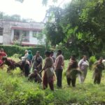 संत निरंकारी महिला संत समागम की तैयारियां तेज, हरिद्वार में सेवादारों ने चलाया स्वच्छता अभियान